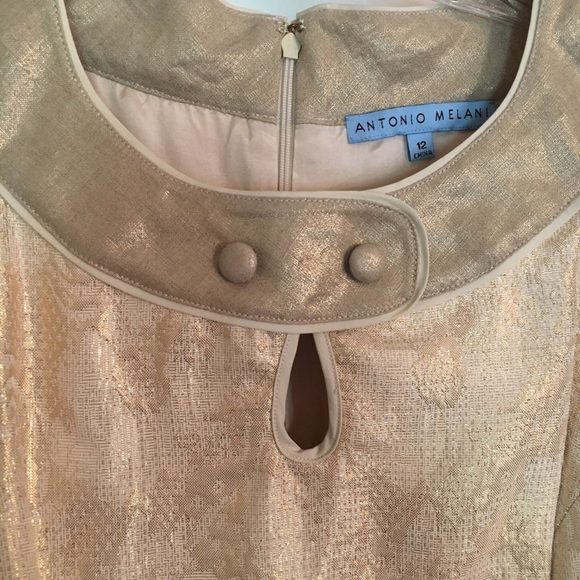 Gold Antonio Melani Dress - Picture 3 of 4